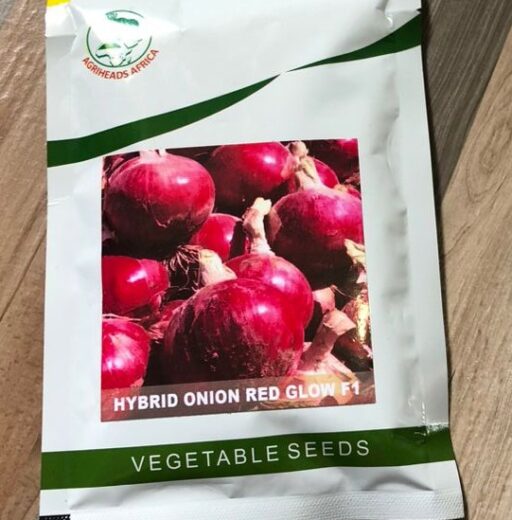 Hybrid Onion Red Glow F1