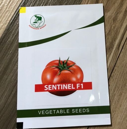 Sentinel F1