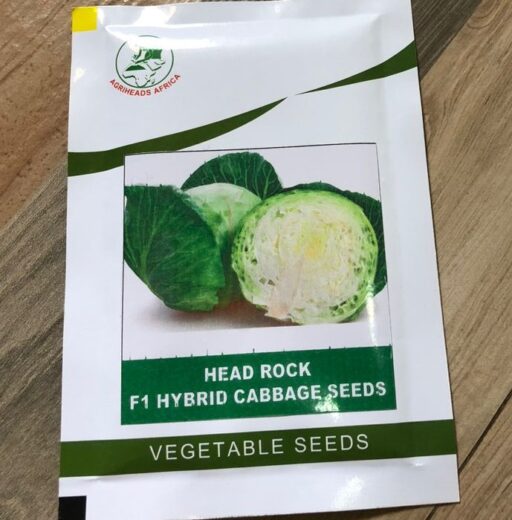 Head Rock F1 Hybrid Cabbage Seeds