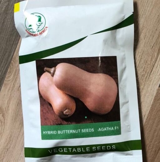 Hybrid Butternut Seeds Agatha F1