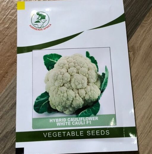 Hybrid Cauliflower White Cauli F1