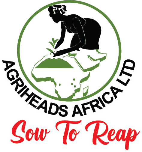 Agriheads Africa
