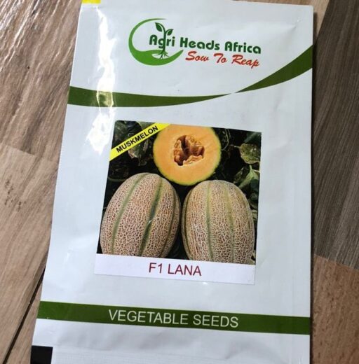 F1 Lana