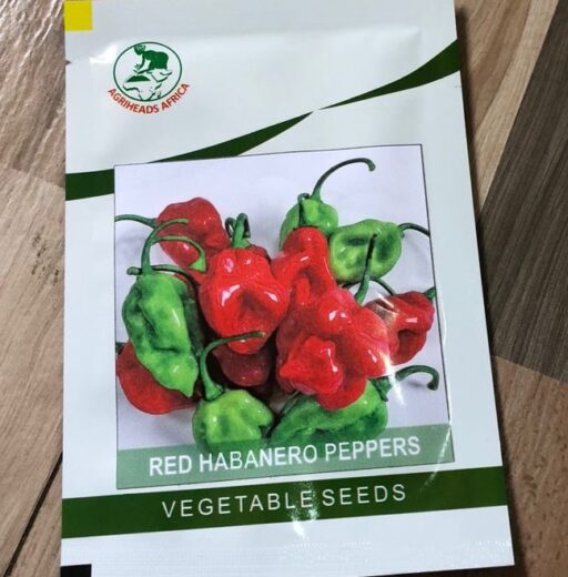 Red Habanero Peppers