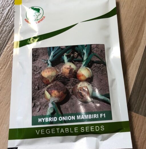 Hybri onion Mambiri F1