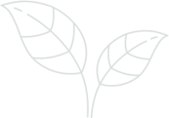 banner-leaf